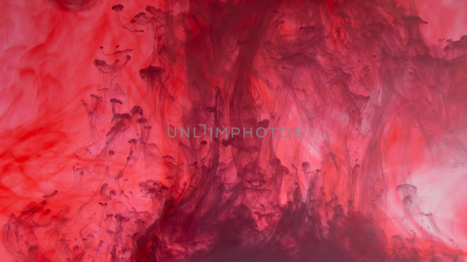 Paint in the water. ink in fluid. abstract background. colorful splashes in liquid. red and blue colors