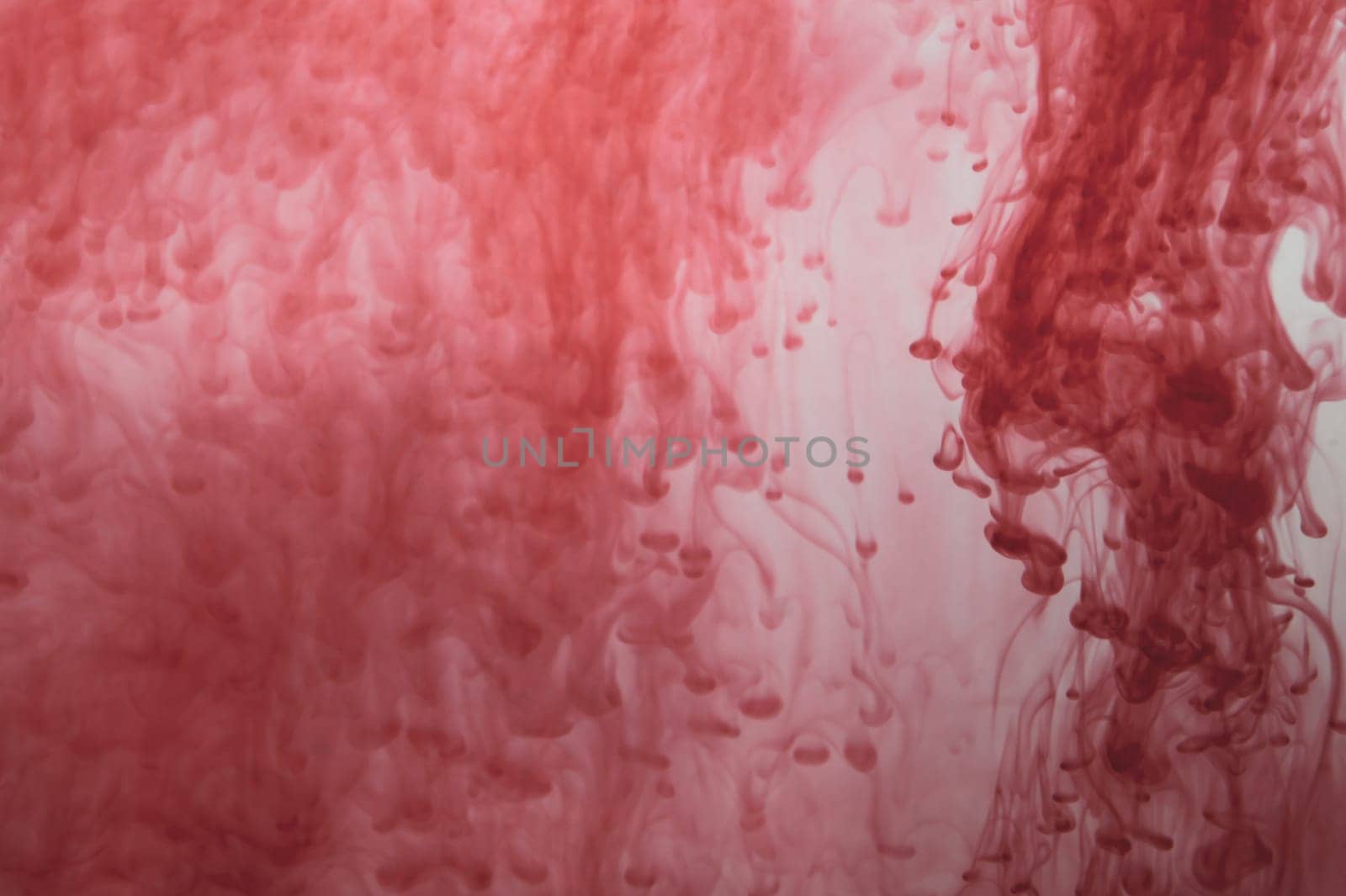 Red ink in the water abstract background. splashes of paint in liquid