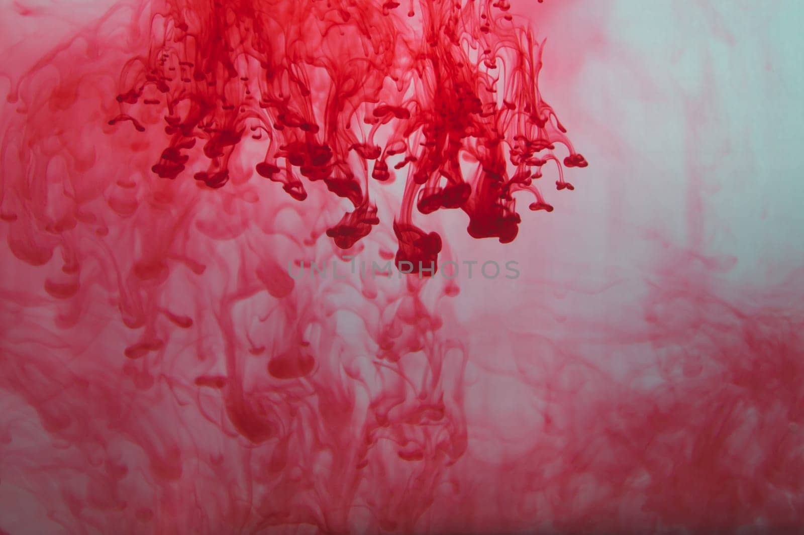 Red ink in the water abstract background. splashes of paint in liquid