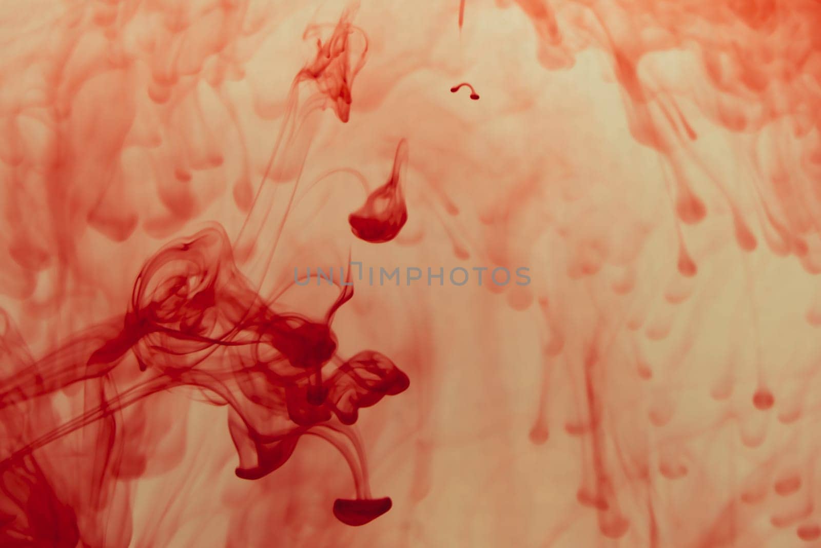 Red ink in the water abstract background. splashes of paint in liquid
