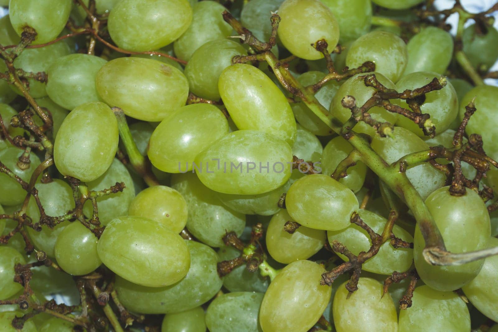 Bunch of the green grapes
