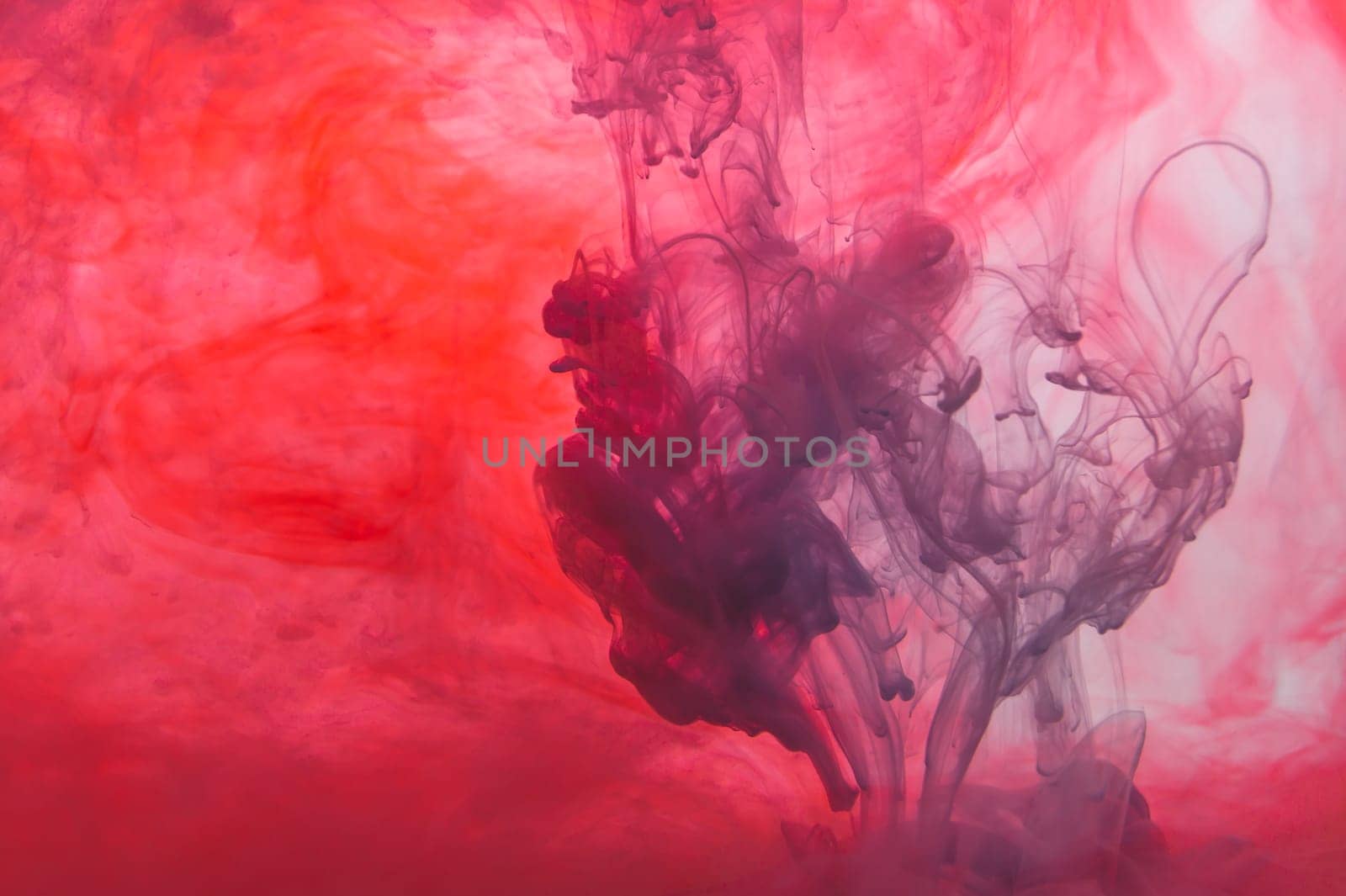 Paint in the water. ink in fluid. abstract background. colorful splashes in liquid. red and blue colors