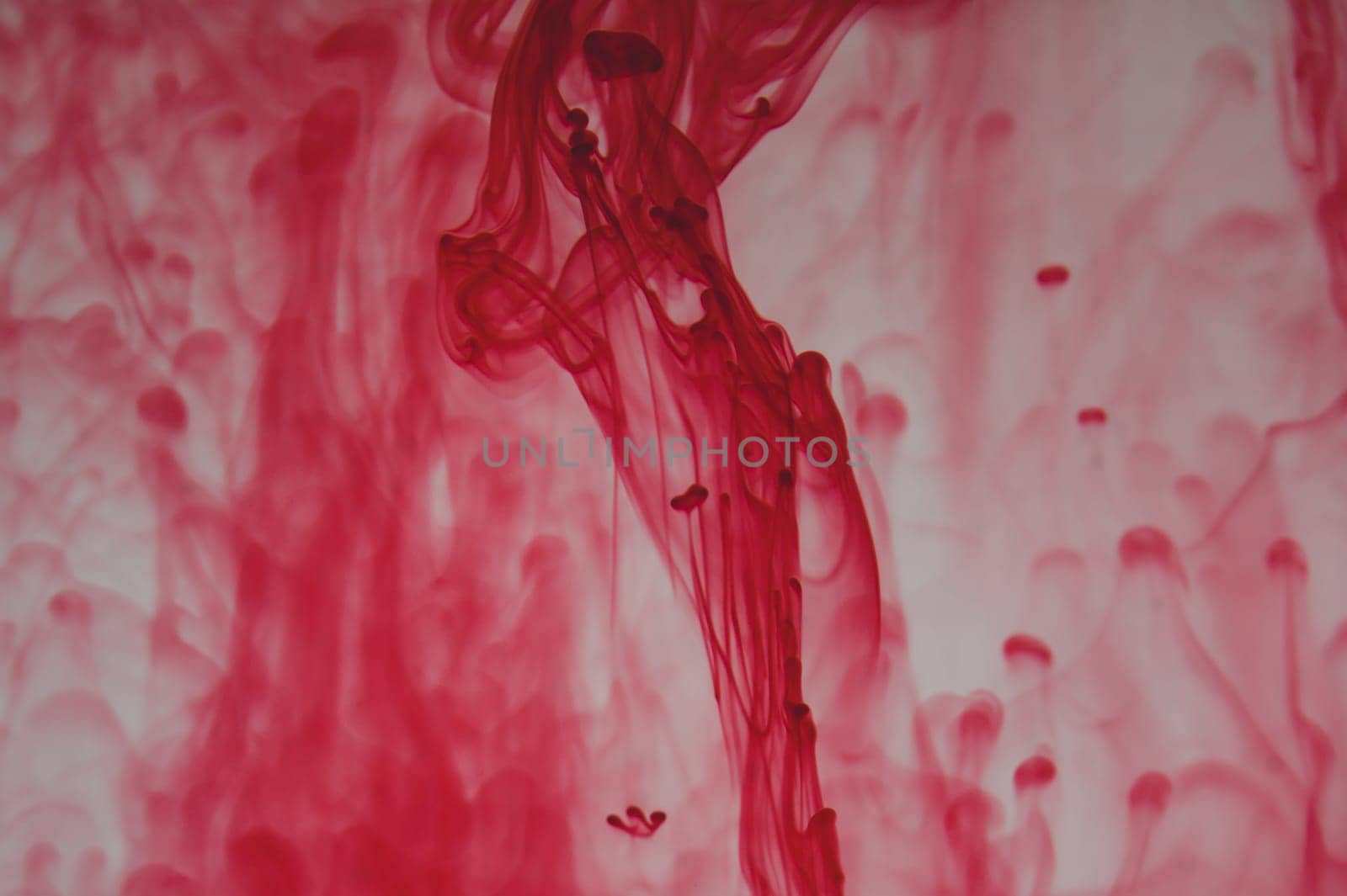 Red ink in the water abstract background. splashes of paint in liquid