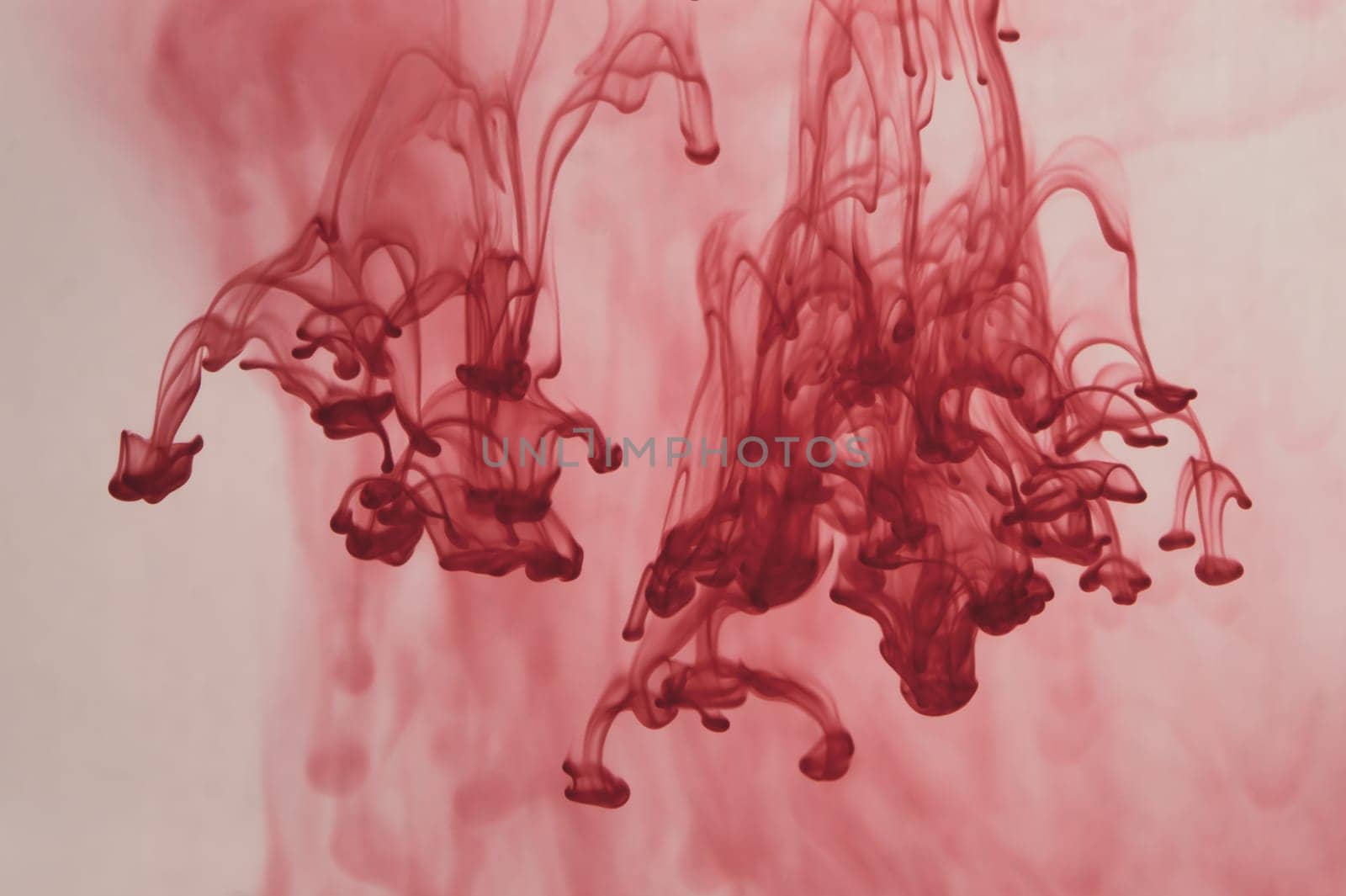 Red ink in the water abstract background. splashes of paint in liquid