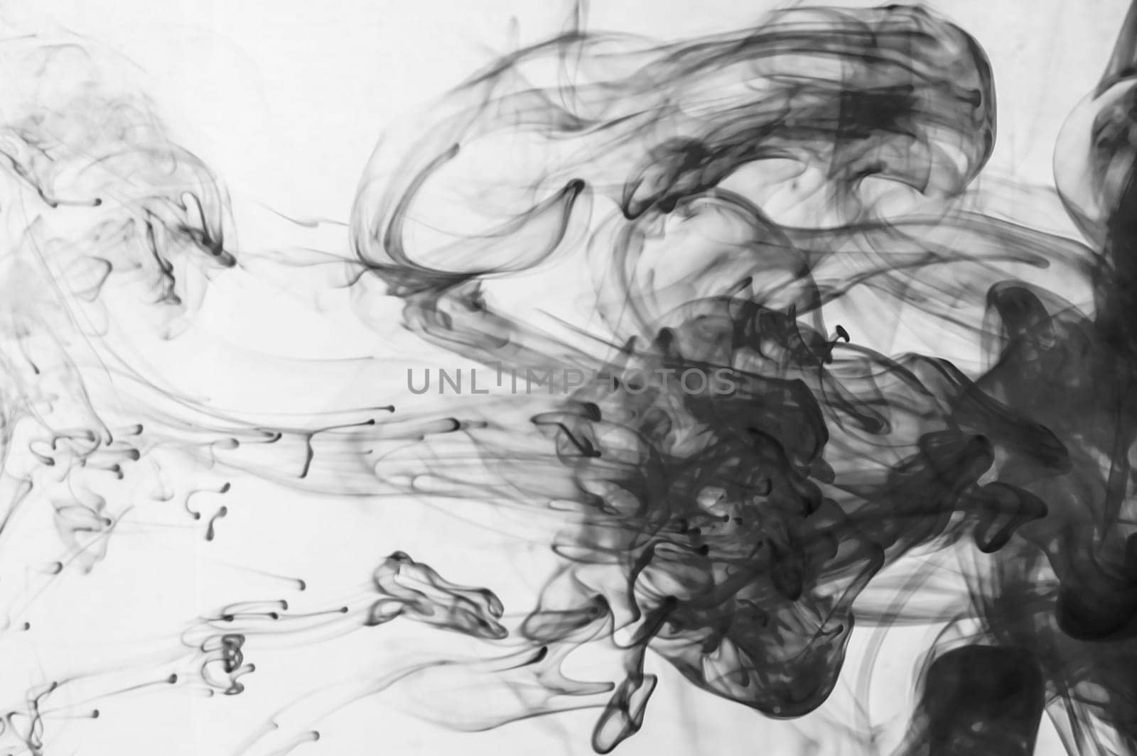 Ink in the water abstract background. splashes of paint swirling in liquid. black and white