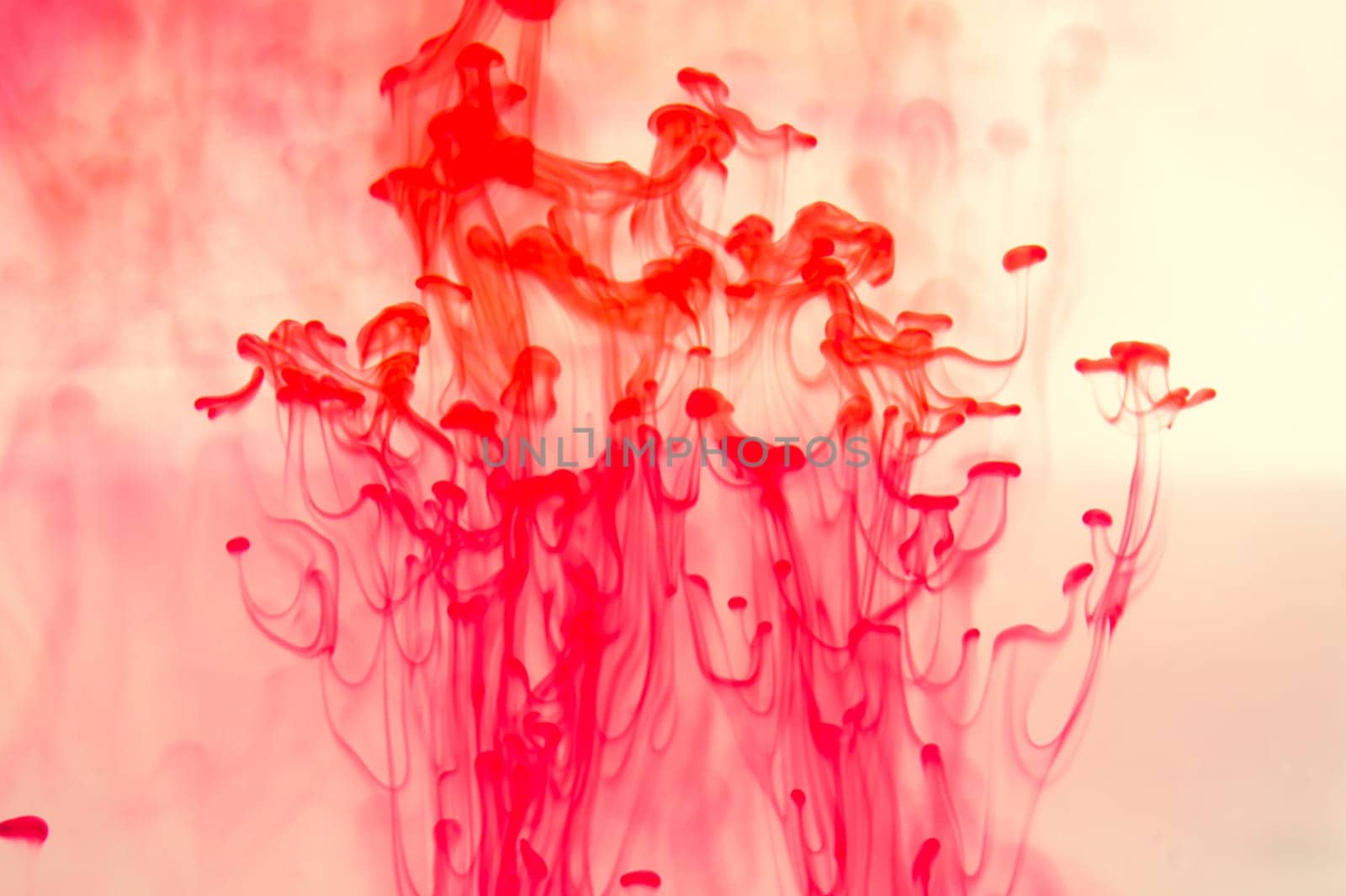 Red ink in the water abstract background. splashes of paint in liquid