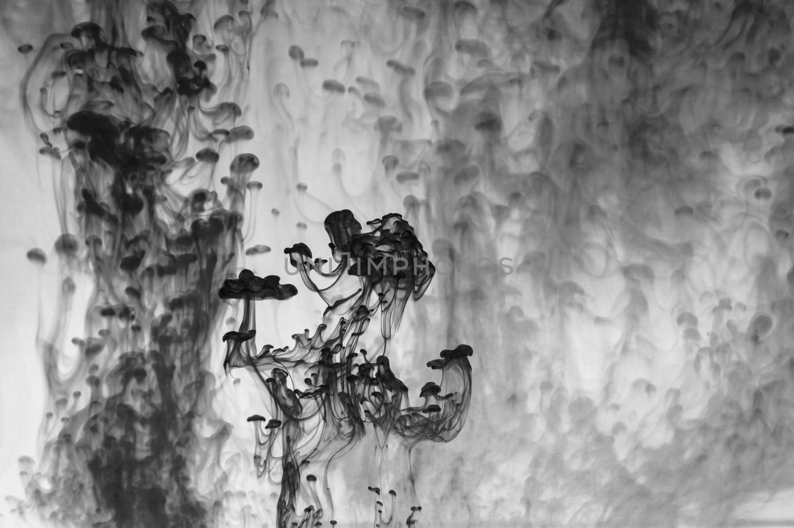 Ink in the water abstract background. splashes of paint swirling in liquid. black and white
