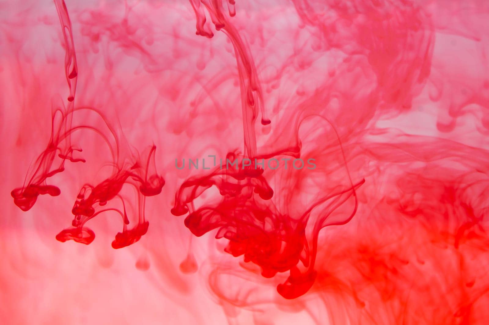 Red ink in the water abstract background. splashes of paint in liquid