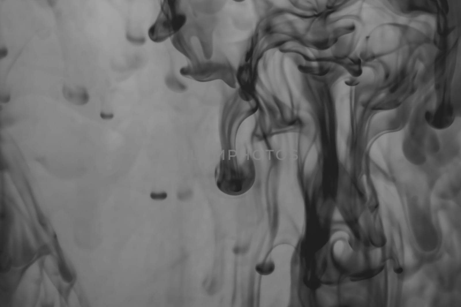 Ink in the water abstract background. splashes of paint swirling in liquid. black and white