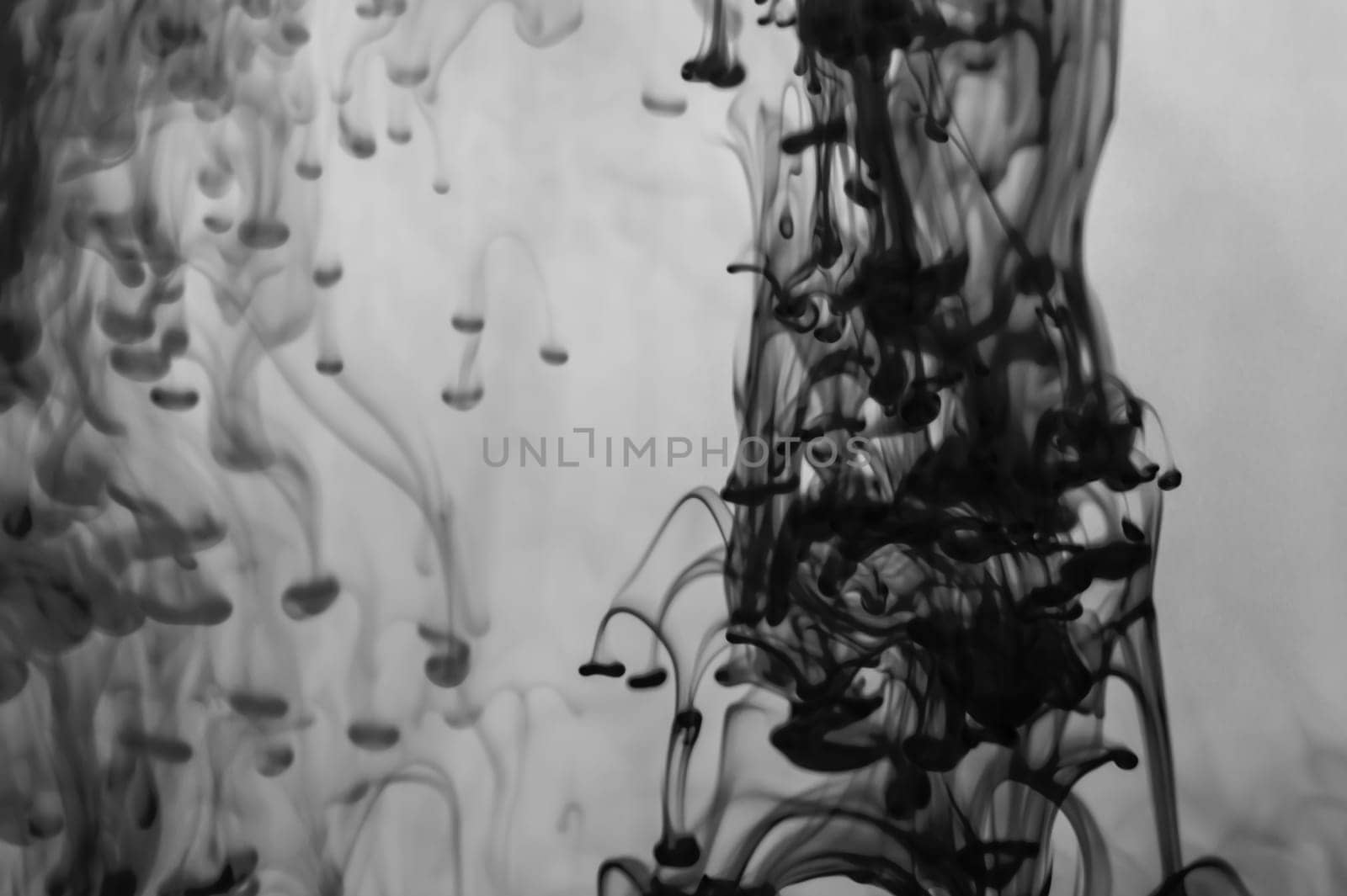 Ink in the water abstract background. splashes of paint swirling in liquid. black and white