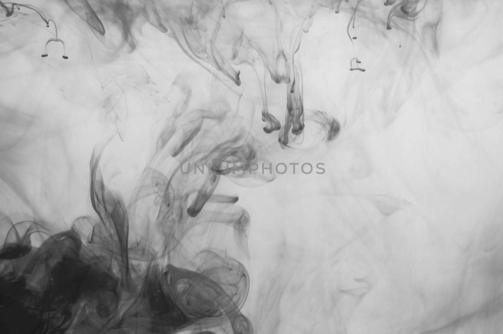 Ink in the water abstract background. splashes of paint swirling in liquid. black and white