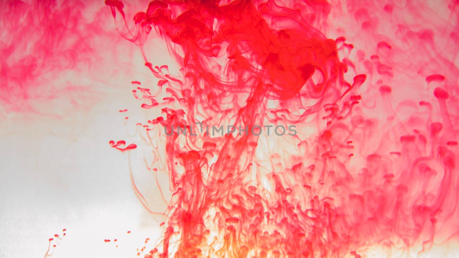 Red ink in the water abstract background. splashes of paint in liquid