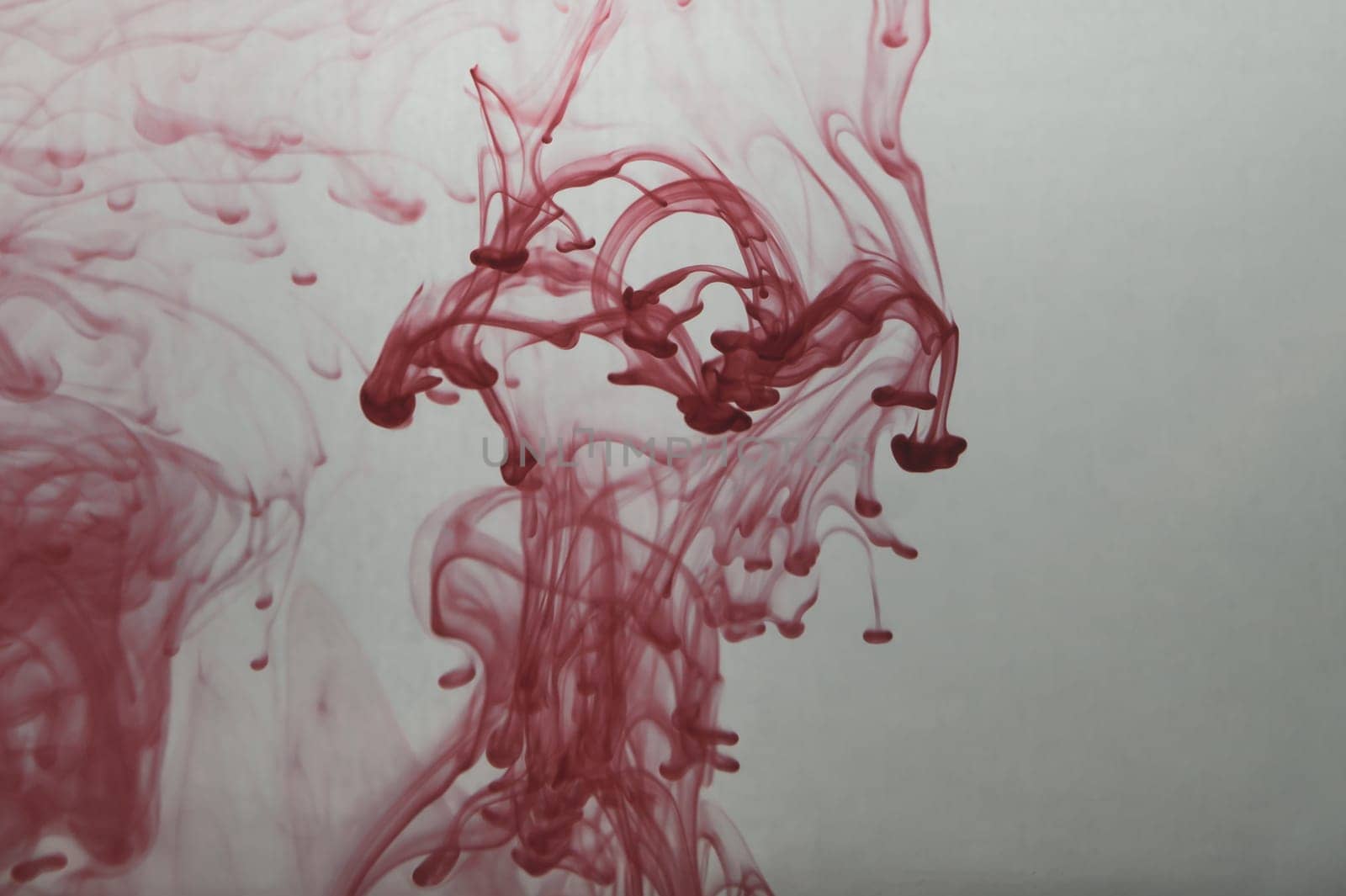 Red ink in the water abstract background. splashes of paint in liquid
