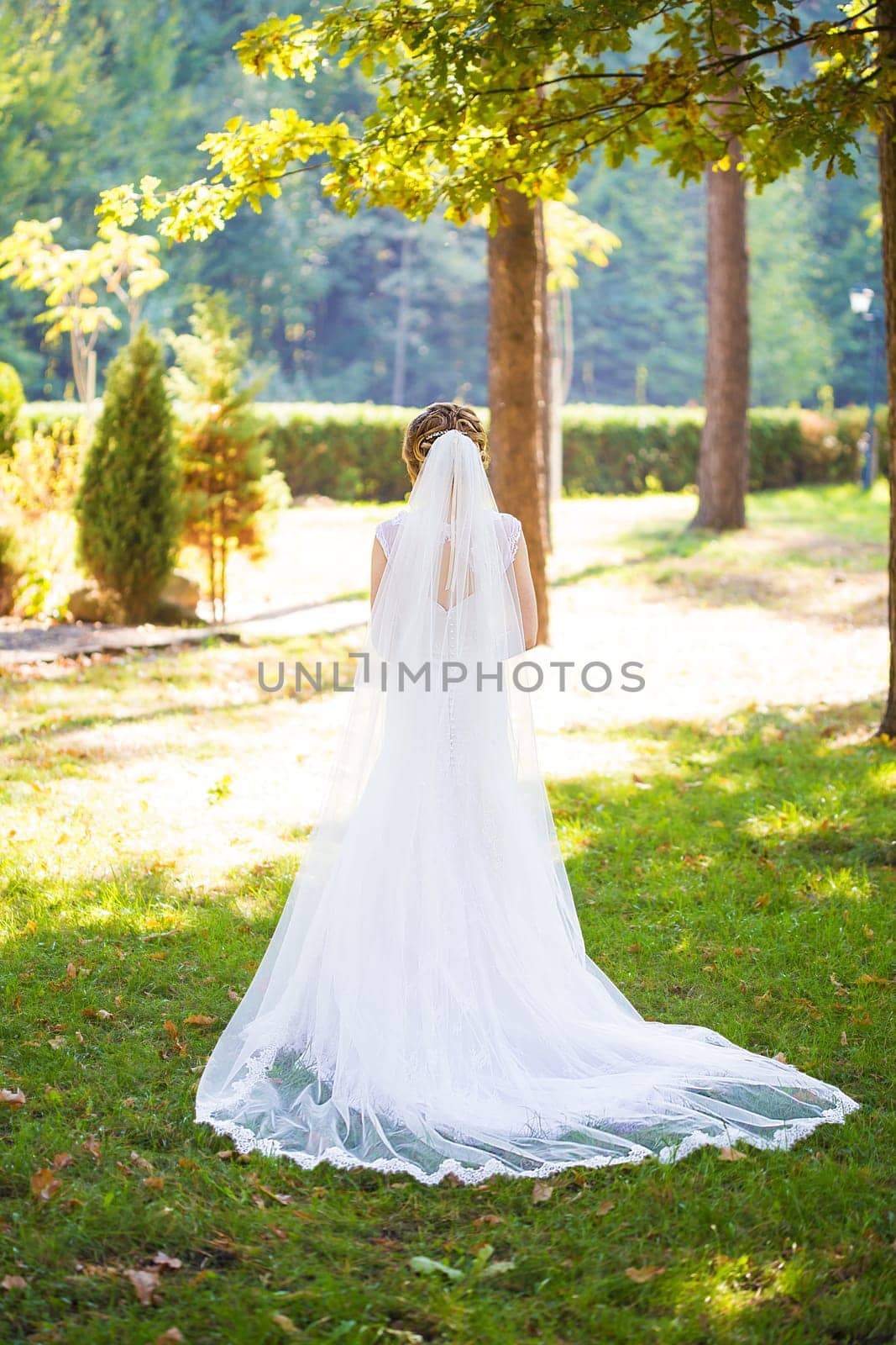 Bride in beautiful dress standing with her back to nature