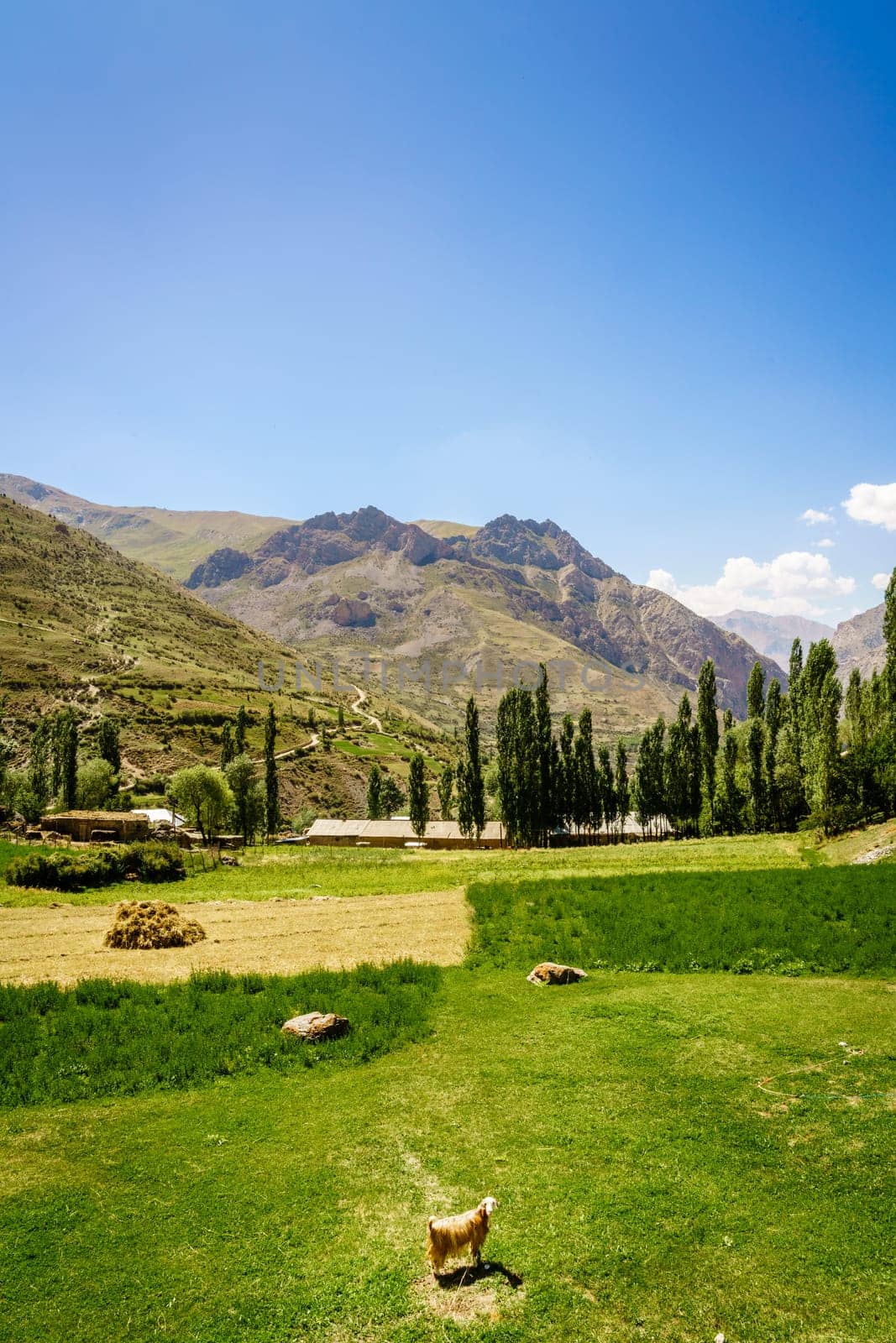 A small farm near Margib village in the mountains of Tajikistan