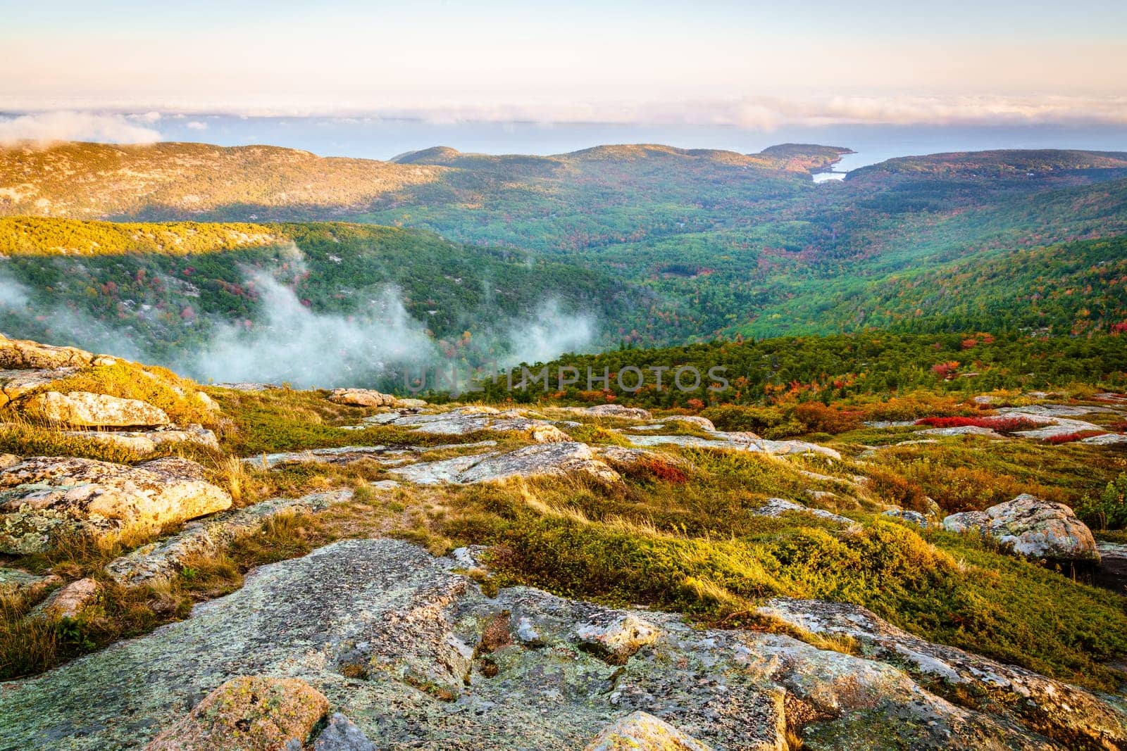 fog in rising from the forest below as seen from the top of Cadillac Mountain in Acadia National Park