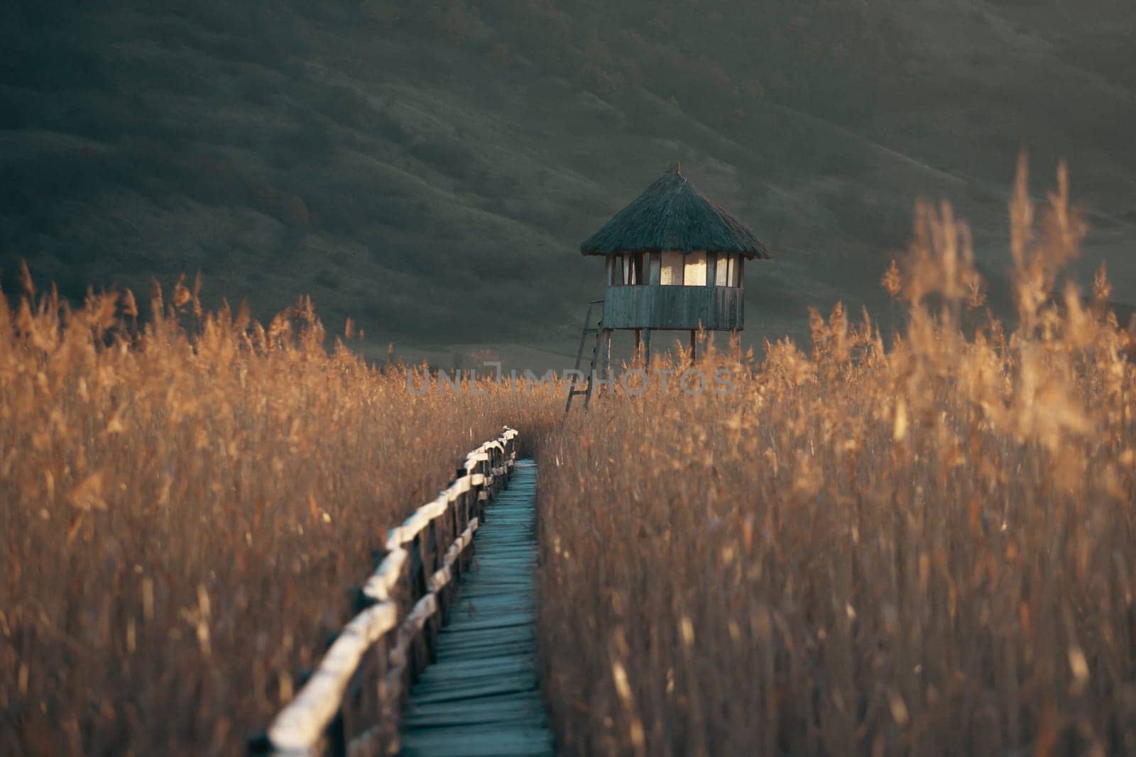 Old wooden boardwalk with a railing on the side and watchtower in the Sic reed reservation, Cluj , Romania