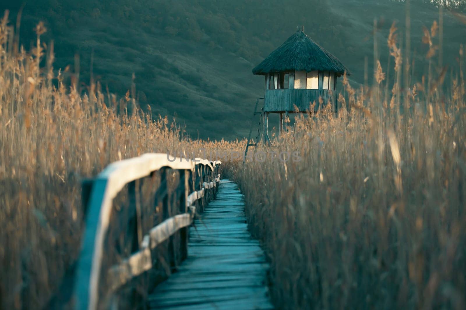 Old wooden boardwalk with a railing on the side and watchtower in the Sic reed reservation, Cluj , Romania