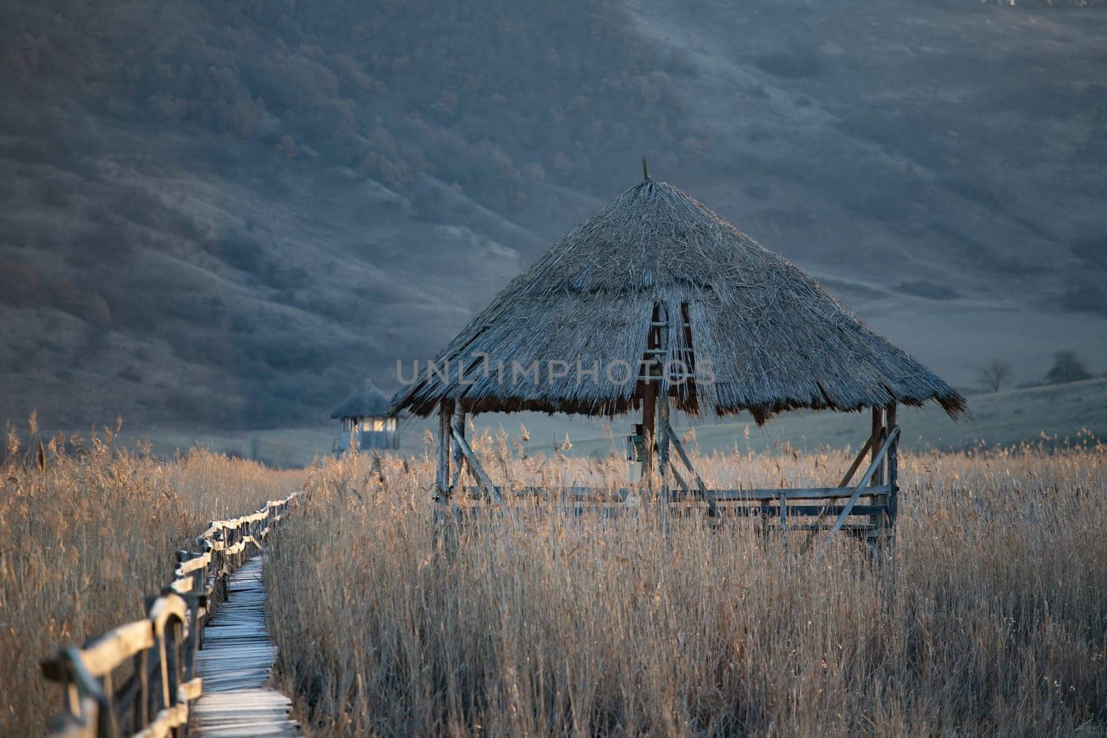 Old wooden boardwalk with a railing on the side and watchtower in the Sic reed reservation, Cluj , Romania