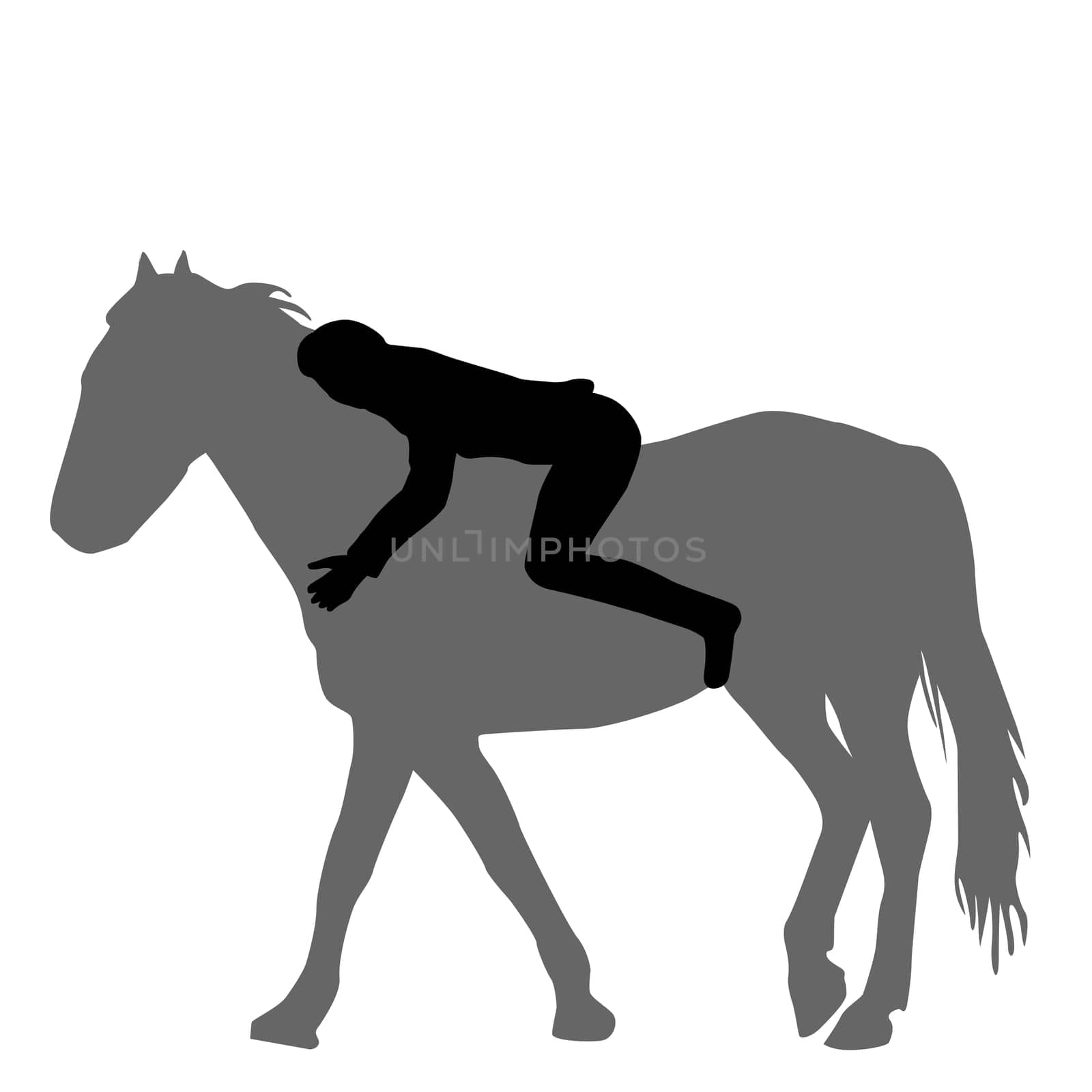 Silhouette of a woman lying on the horse and hugging him