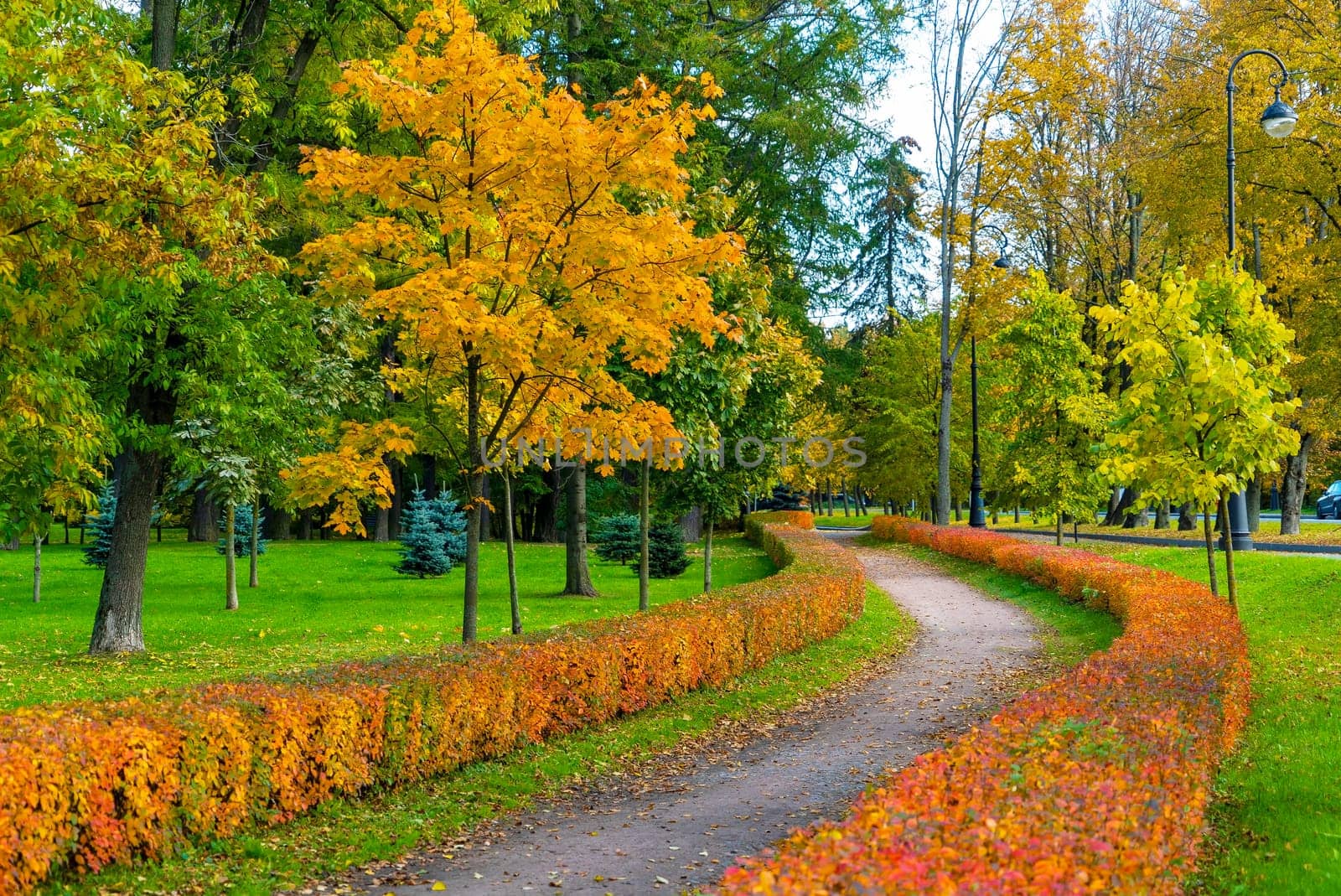 A winding pedestrian path in the autumn park on Krestovsky Island. Saint Petersburg.