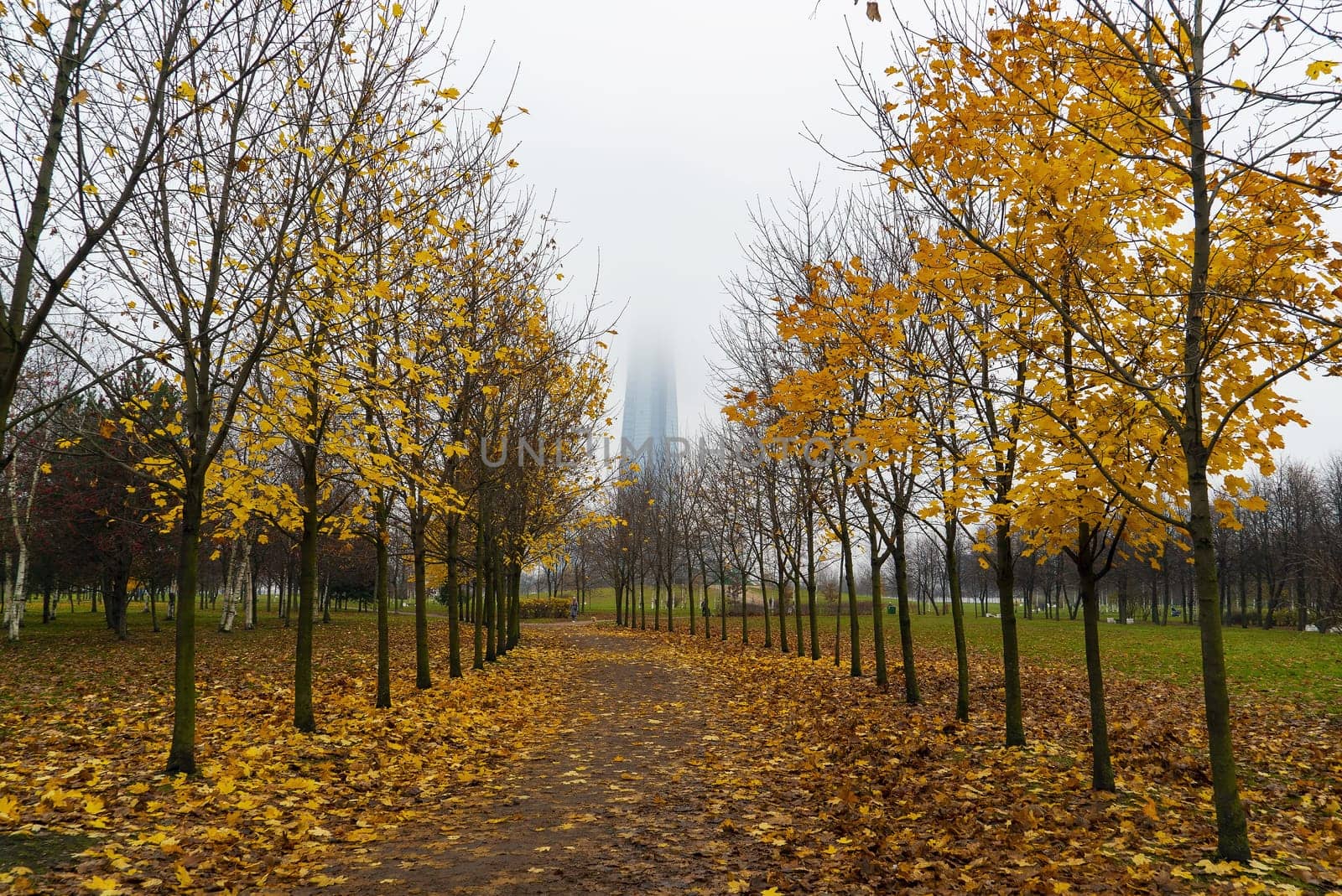 Autumn Park named after the 300th anniversary of St. Petersburg with a view of the Lakhta Center. Saint-Petersburg. Russia.