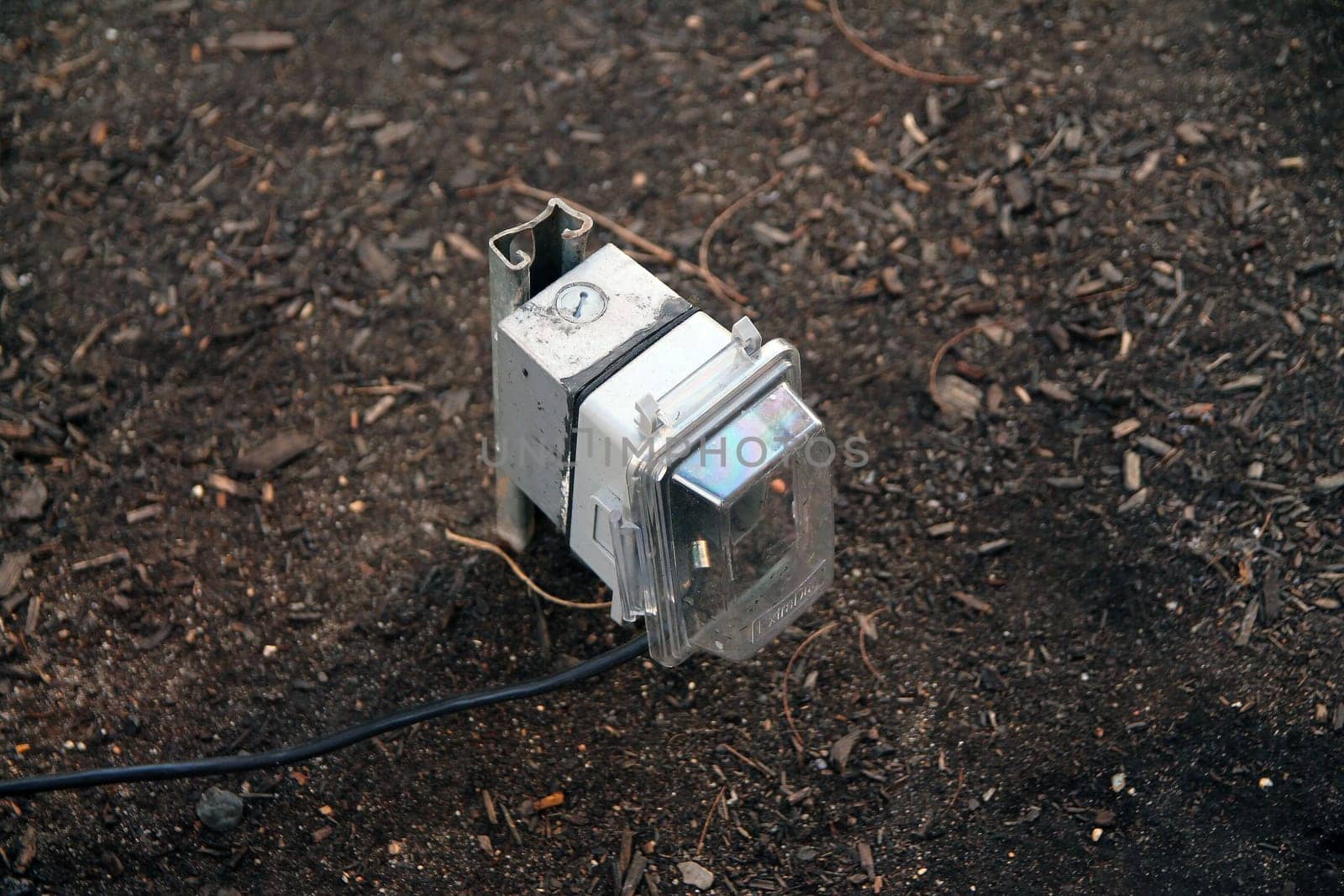 Outdoors public electric outlet with rain cover and a black plugged cable emerging from the brown soil