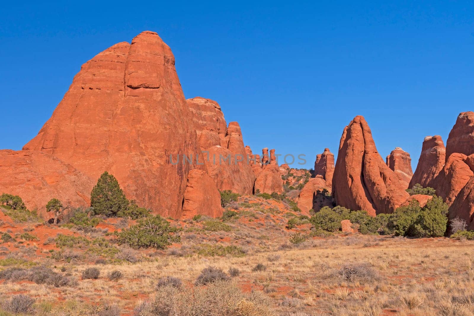 Red Rocks Erupting Out of the Desert in Arches National Park in Utah