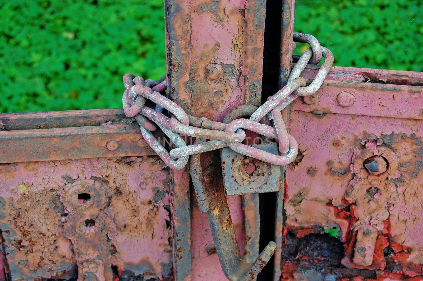Chain on old rusty gate