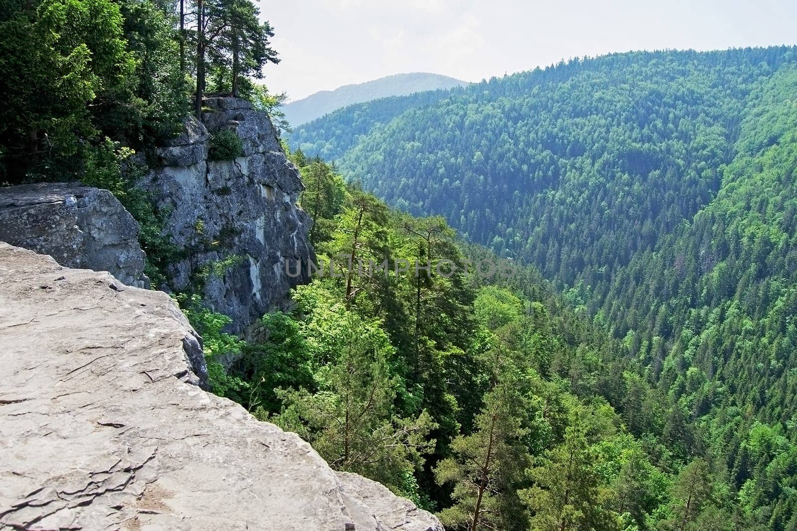 View from cliff in Slovak Paradise