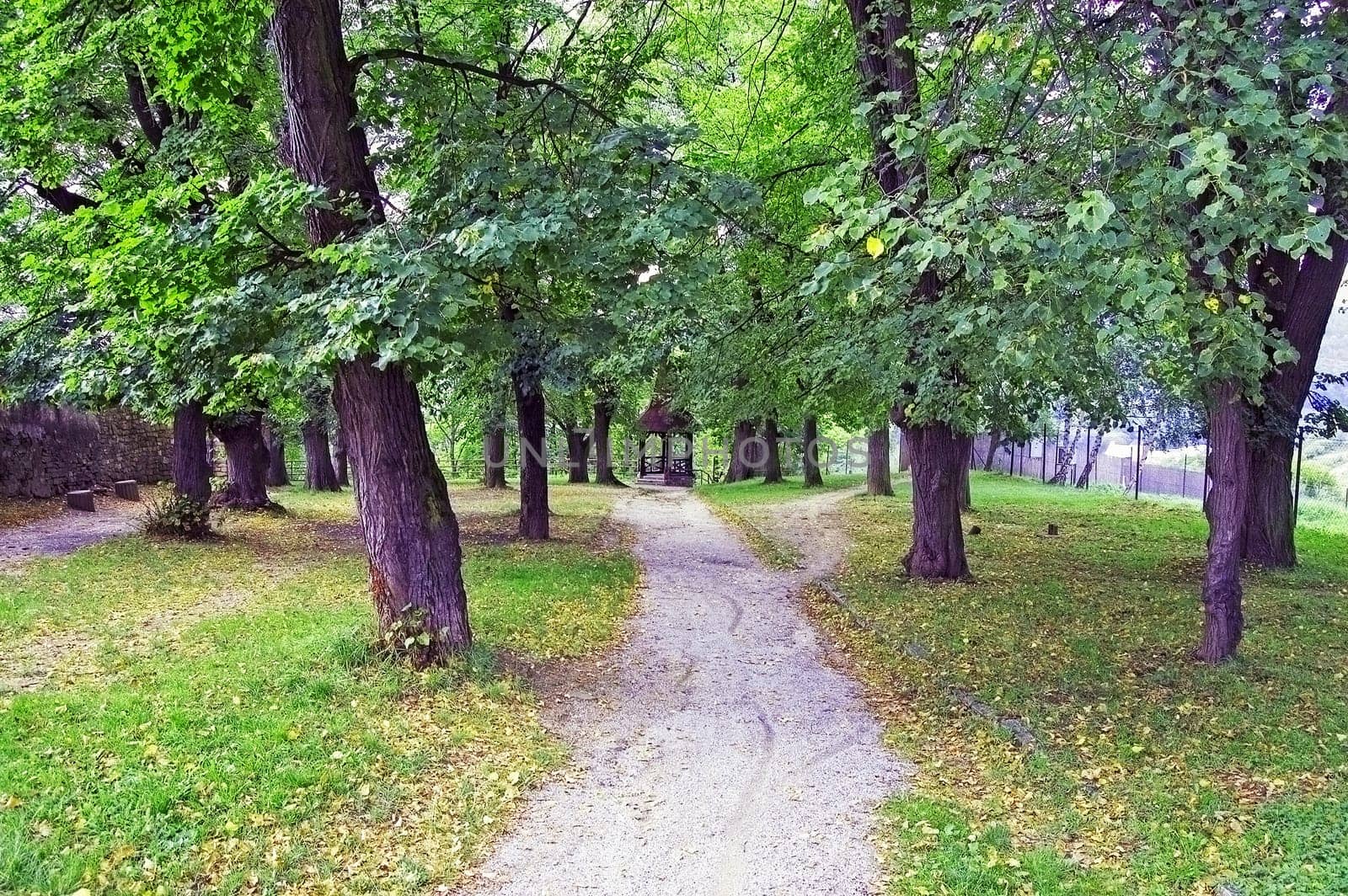 Park in summer with lookout