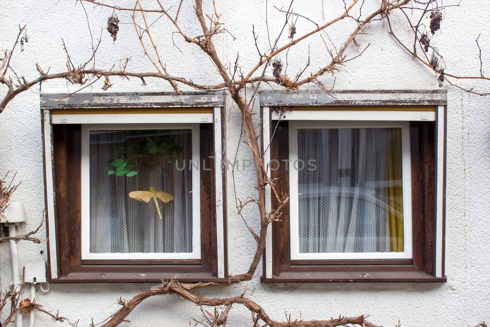 house in Witzenhausen in the Werra Valley in Germany, Hessen