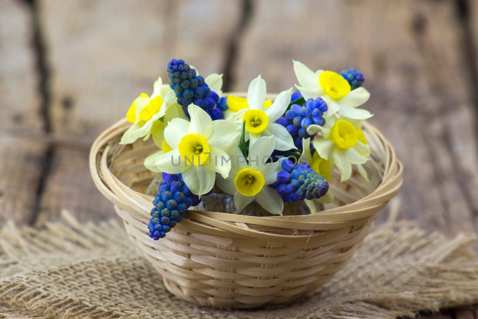 spring flowers bouquet in a basket on wooden background