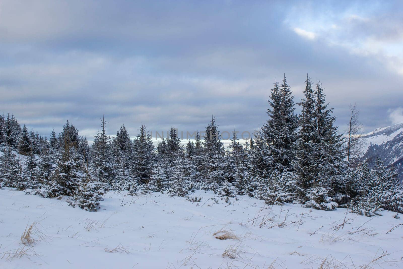 Winter landscape - Rax Mountain in the Austrian Alps, Lower Austria