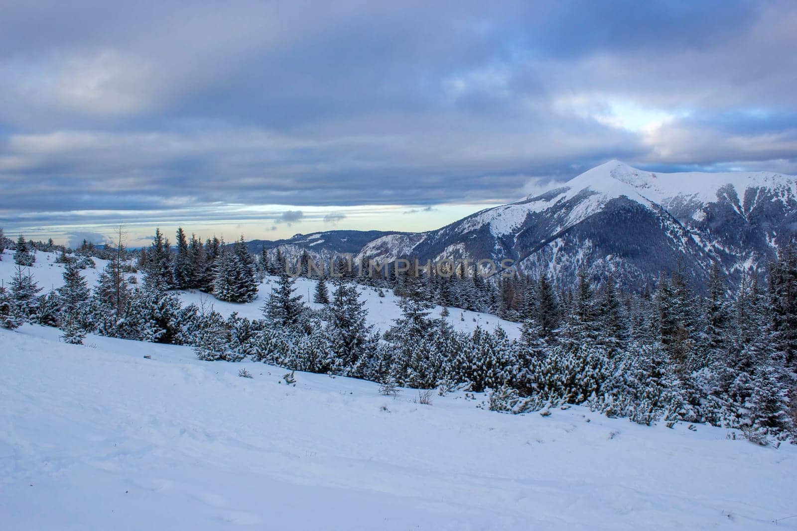 Winter landscape - Rax Mountain in the Austrian Alps, Lower Austria