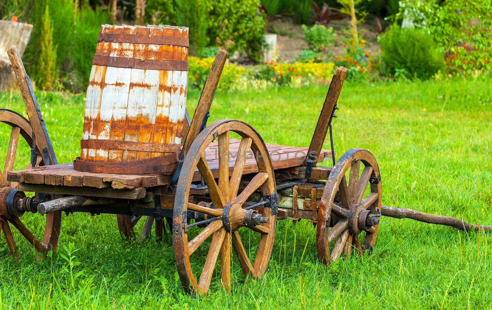 The Old wooden cart with a keg on the green grass. Selective focus