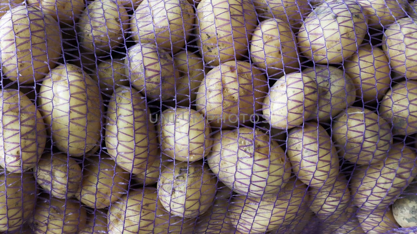 Raw young potatoes in a blue mesh bag close-up as a background. A sack of raw and dirty potatoes at the farmers' market