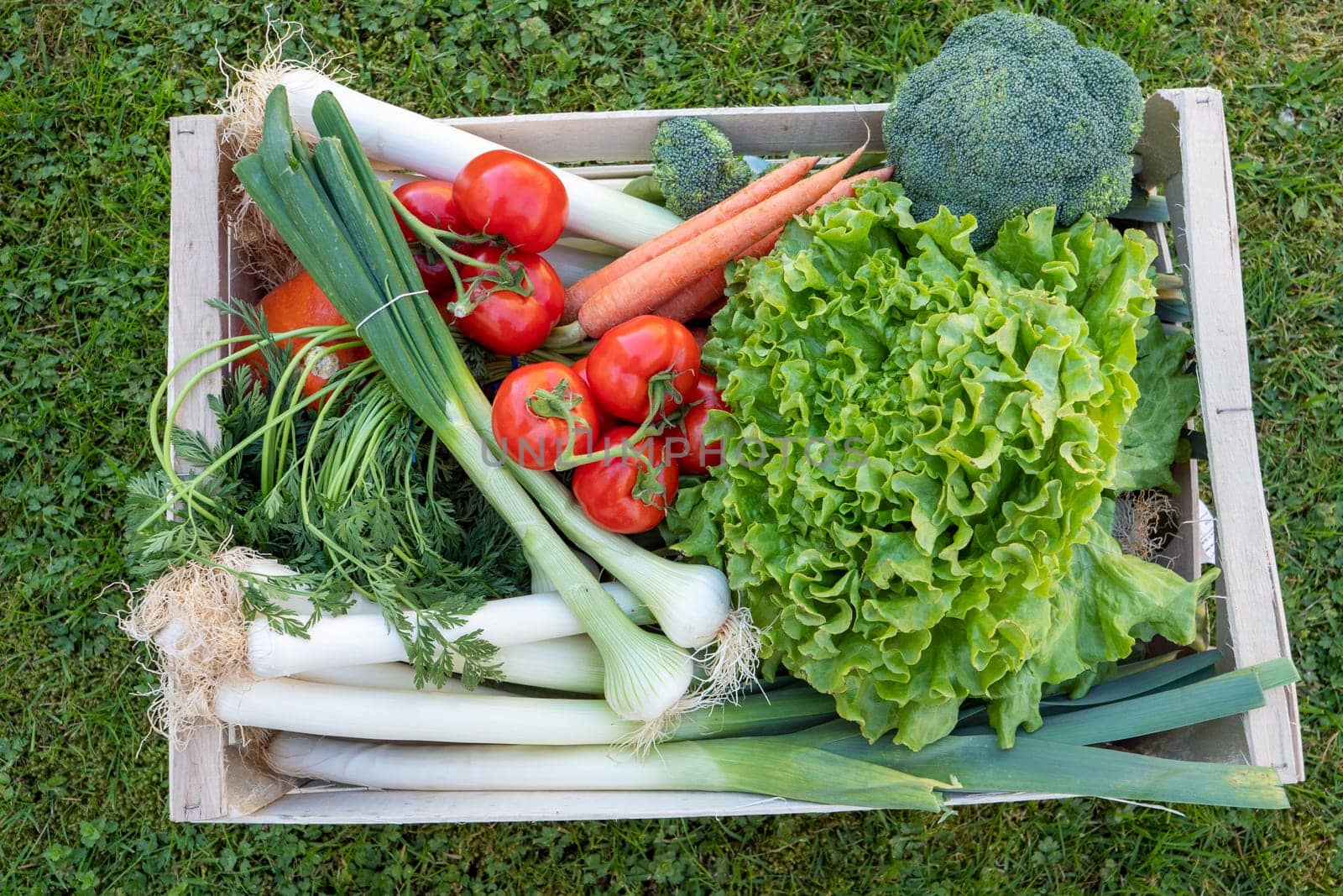 seasonal vegetables in a wooden crate
