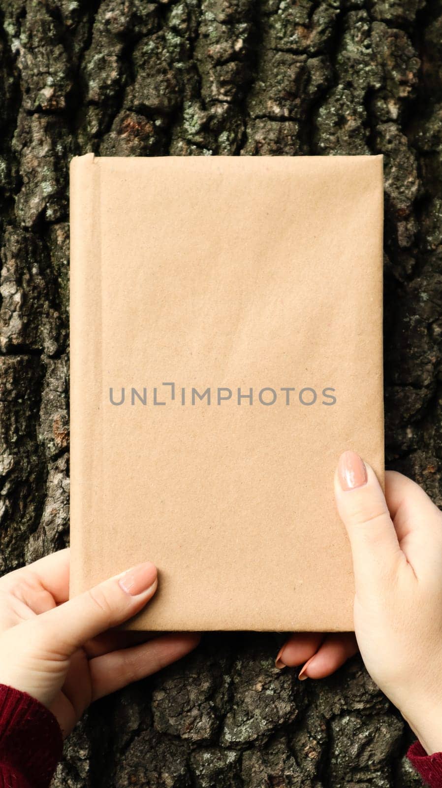A closed book in a cover made of craft paper in female hands on the background of a tree bark in the park. Copy space. The concept of reading, recreation and leisure, study and education