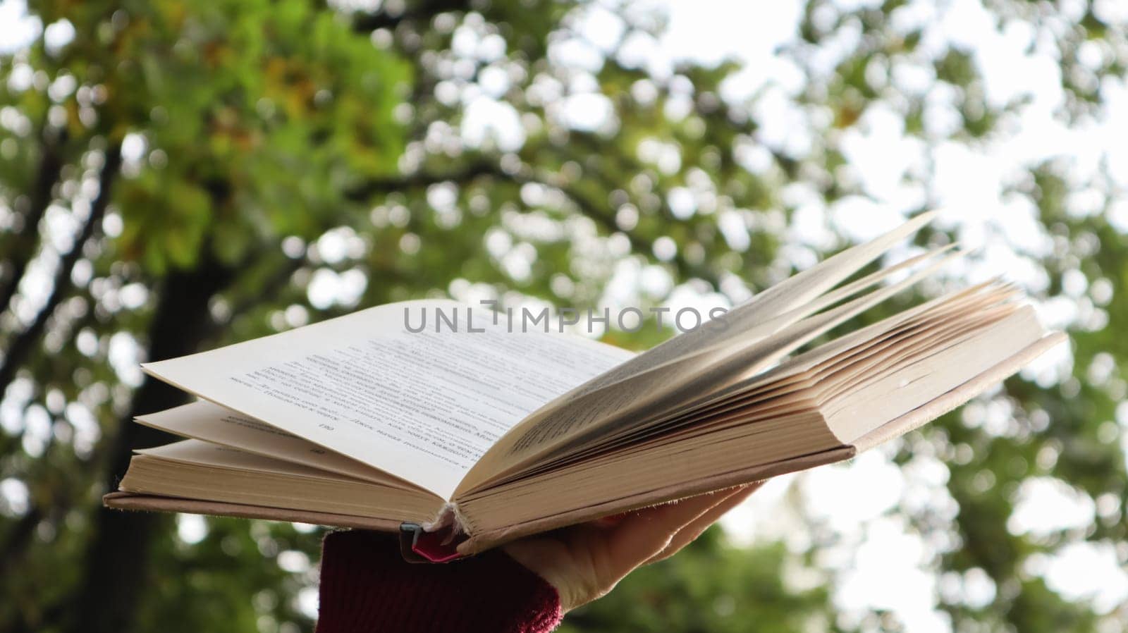 Female hand holding open book with sunlight as concept of freedom of knowledge on green bokeh background in park outdoors. Open book on nature abstract light background