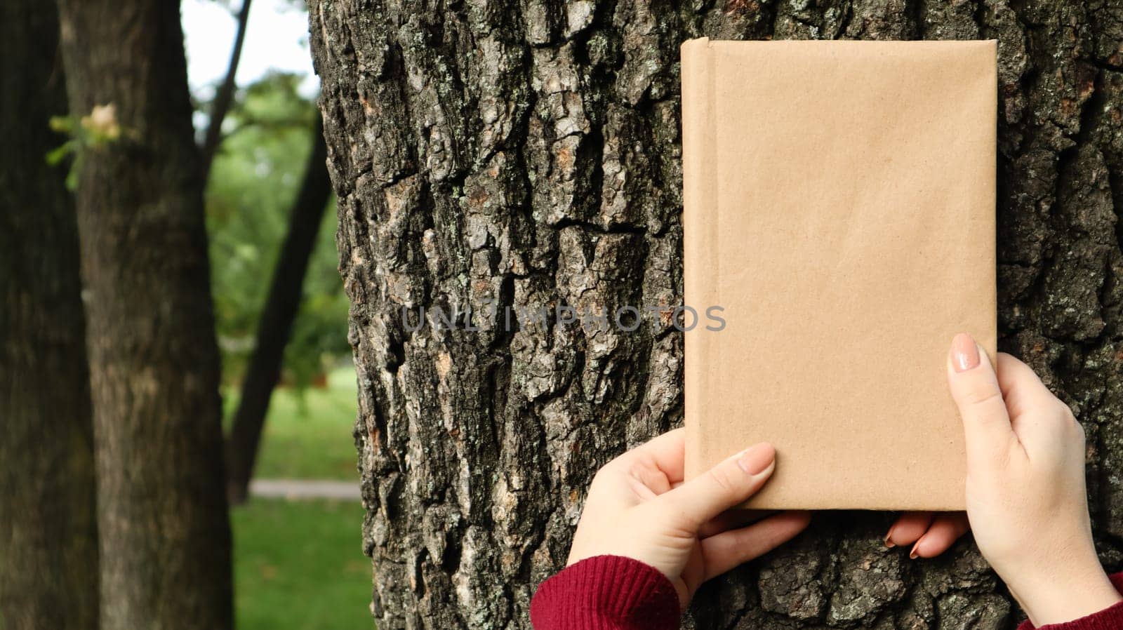 A closed book in a cover made of craft paper in female hands on the background of a tree bark in the park. Copy space. The concept of reading, recreation and leisure, study and education
