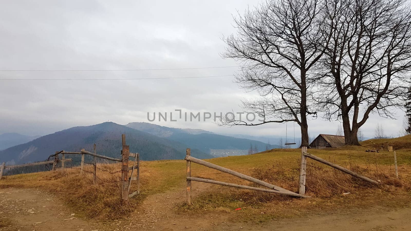 Colorful autumn landscape in the Carpathian mountains with mountain peaks. Carpathians, Ukraine, Europe. World of beauty. Forest with orange leaves. Autumn sunny day in western Ukraine