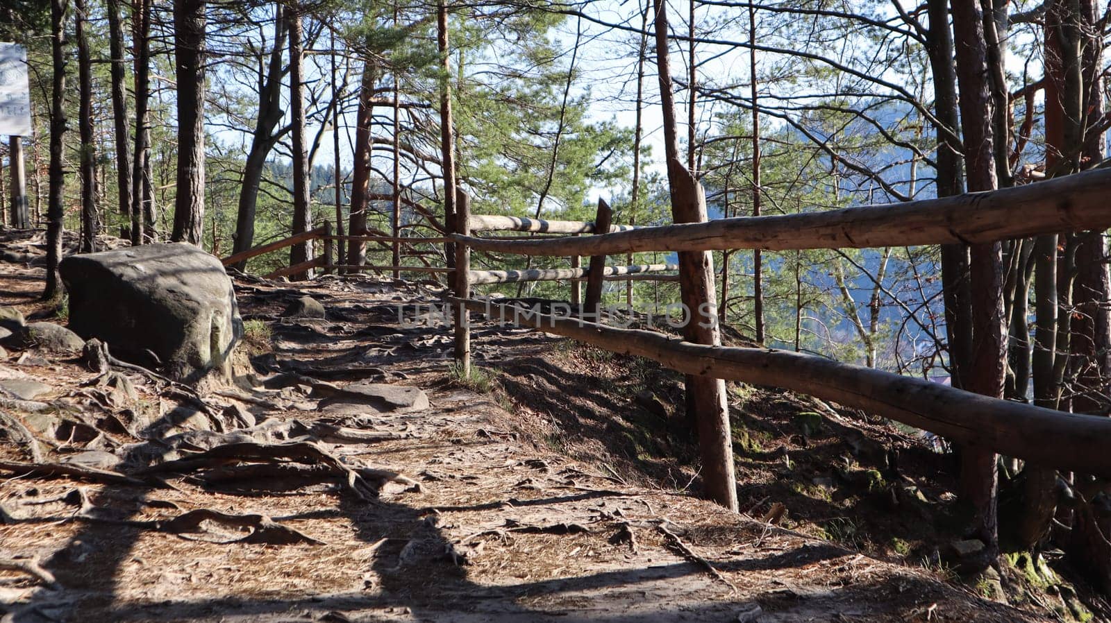 Tourist route Dovbush trail. Picturesque rocks on a hiking trail in a forest mountain near the village of Yaremche in autumn. Beautiful pine forest on a sunny day. Ukraine, Carpathians.