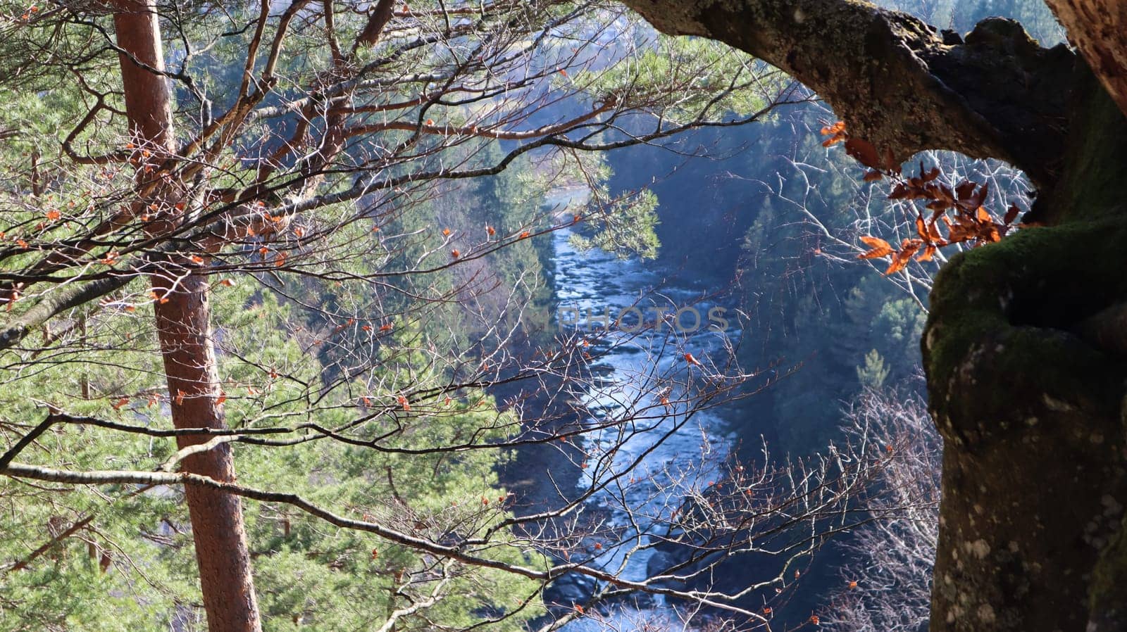 Tourist route Dovbush trail. Picturesque rocks on a hiking trail in a forest mountain near the village of Yaremche in autumn. Beautiful pine forest on a sunny day. Ukraine, Carpathians.