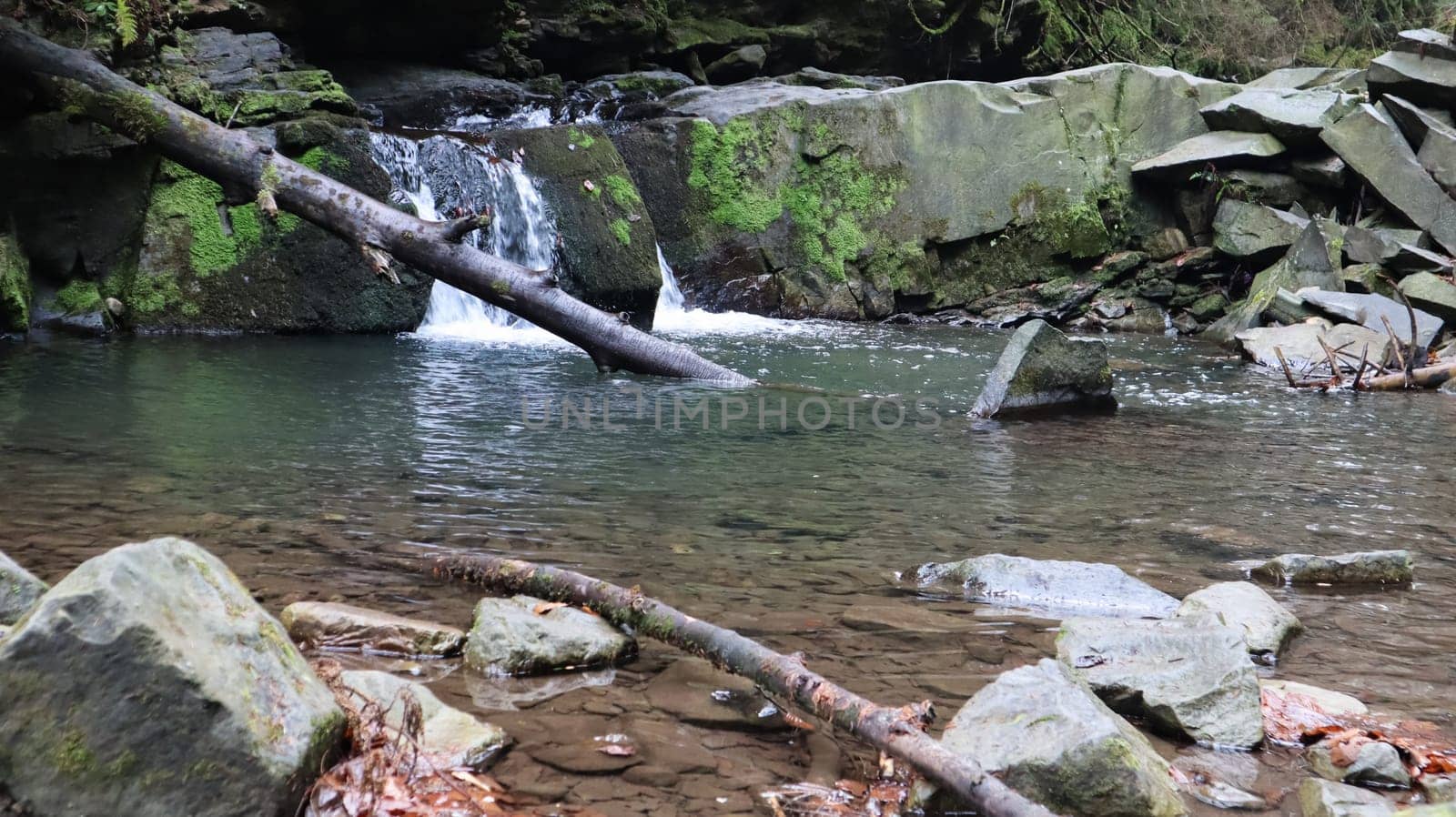 Landscape of a mountain river in the forest in early autumn and late summer. water in a natural stream. beautiful and relaxing forest with a river. River deep in mountain forest. Nature composition