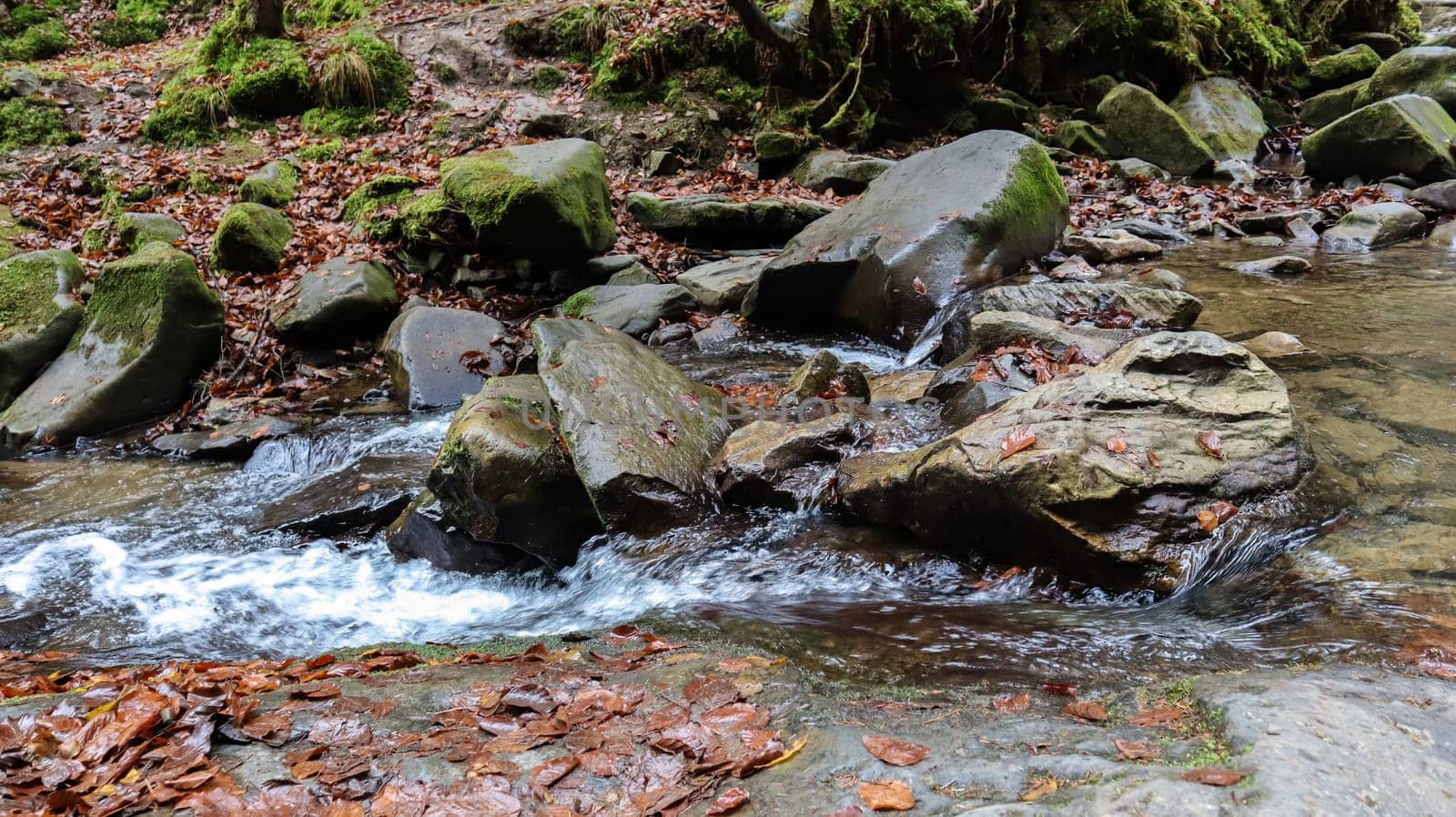 Landscape of a mountain river in the forest in early autumn and late summer. water in a natural stream. beautiful and relaxing forest with a river. River deep in mountain forest. Nature composition