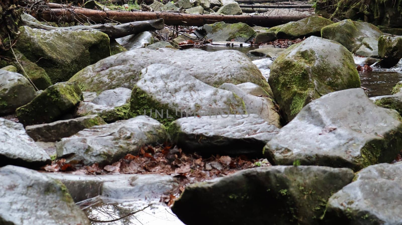 Landscape of a mountain river in the forest in early autumn and late summer. water in a natural stream. beautiful and relaxing forest with a river. River deep in mountain forest. Nature composition