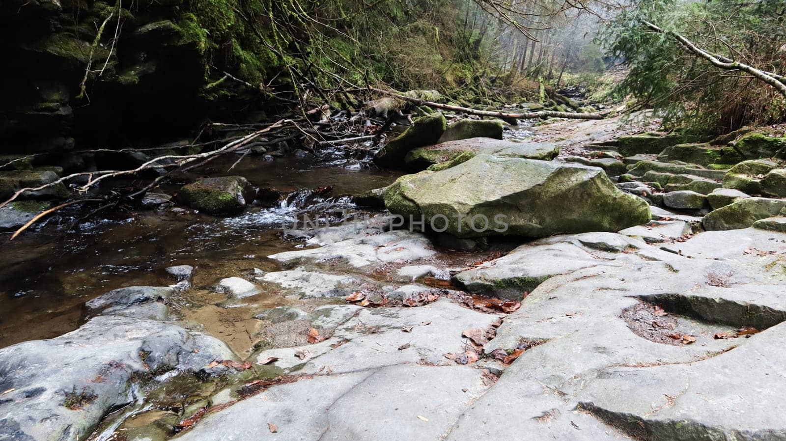 Landscape of a mountain river in the forest in early autumn and late summer. water in a natural stream. beautiful and relaxing forest with a river. River deep in mountain forest. Nature composition