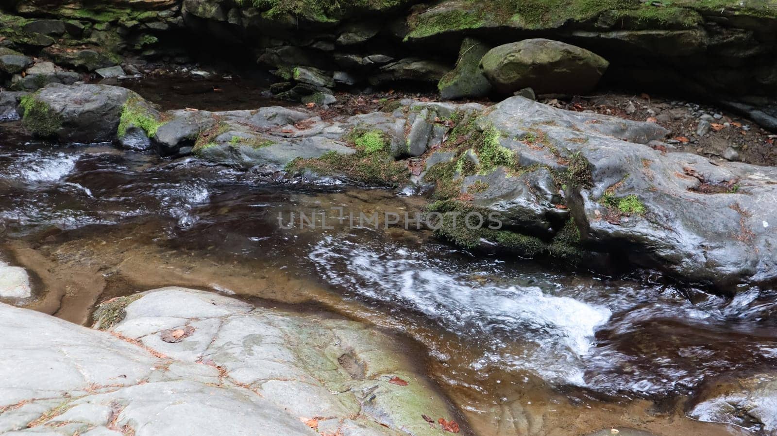 Landscape of a mountain river in the forest in early autumn and late summer. water in a natural stream. beautiful and relaxing forest with a river. River deep in mountain forest. Nature composition