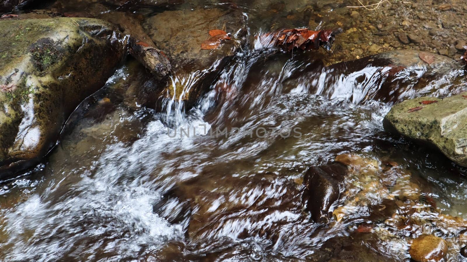 Landscape of a mountain river in the forest in early autumn and late summer. water in a natural stream. beautiful and relaxing forest with a river. River deep in mountain forest. Nature composition